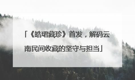 《皓珺藏珍》首发，解码云南民间收藏的坚守与担当