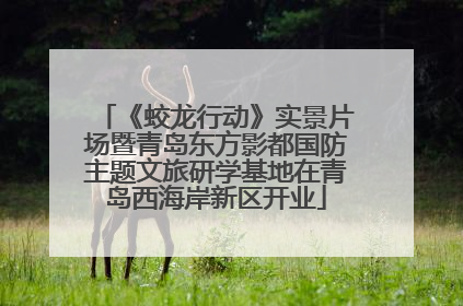 《蛟龙行动》实景片场暨青岛东方影都国防主题文旅研学基地在青岛西海岸新区开业