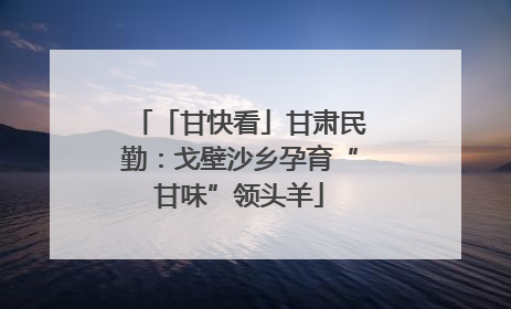 「甘快看」甘肃民勤：戈壁沙乡孕育“甘味”领头羊