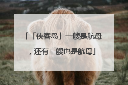 「侠客岛」一艘是航母，还有一艘也是航母