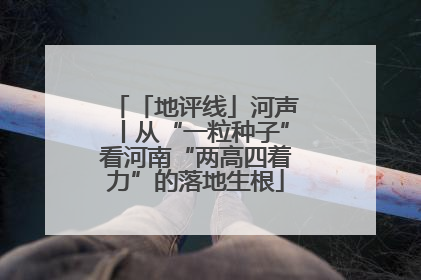 「地评线」河声丨从“一粒种子”看河南“两高四着力”的落地生根