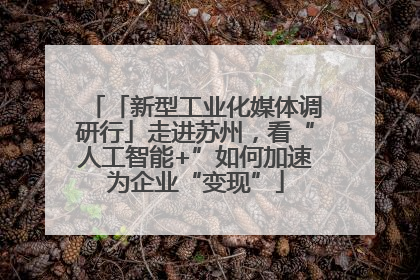 「新型工业化媒体调研行」走进苏州，看“人工智能+”如何加速为企业“变现”