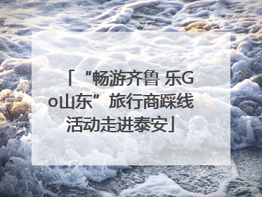 “畅游齐鲁 乐Go山东”旅行商踩线活动走进泰安