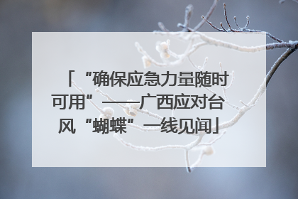 “确保应急力量随时可用”——广西应对台风“蝴蝶”一线见闻