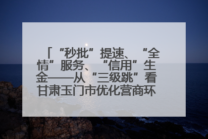 “秒批”提速、“全情”服务、“信用”生金——从“三级跳”看甘肃玉门市优化营商环境的进阶之路