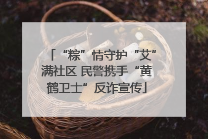 “粽”情守护“艾”满社区 民警携手“黄鹤卫士”反诈宣传