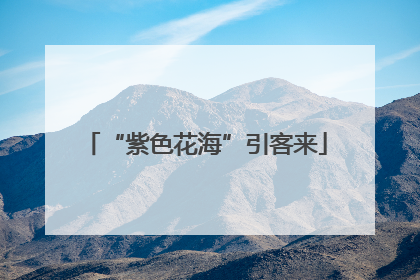 “紫色花海”引客来