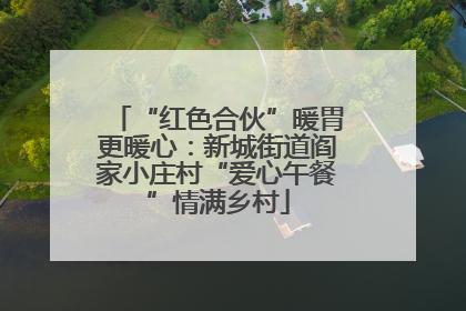 “红色合伙”暖胃更暖心：新城街道阎家小庄村“爱心午餐”情满乡村
