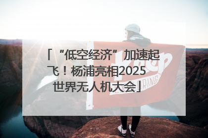 “低空经济”加速起飞！杨浦亮相2025世界无人机大会