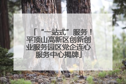 “一站式”服务！平顶山高新区创新创业服务园区党企连心服务中心揭牌