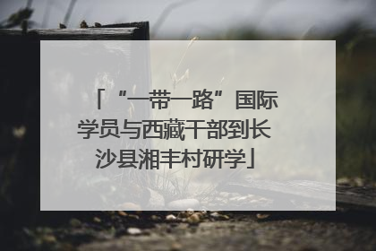 “一带一路”国际学员与西藏干部到长沙县湘丰村研学
