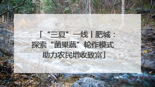 “三夏”一线丨肥城：探索“菌果蔬”轮作模式 助力农民增收致富