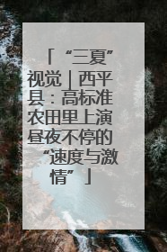 “三夏”视觉｜西平县：高标准农田里上演昼夜不停的“速度与激情”