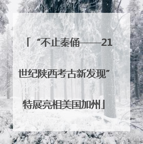 “不止秦俑——21世纪陕西考古新发现”特展亮相美国加州