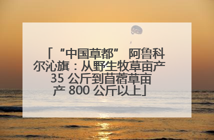 “中国草都” 阿鲁科尔沁旗：从野生牧草亩产 35 公斤到苜蓿草亩产 800 公斤以上