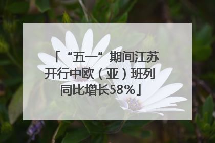 “五一”期间江苏开行中欧（亚）班列同比增长58％