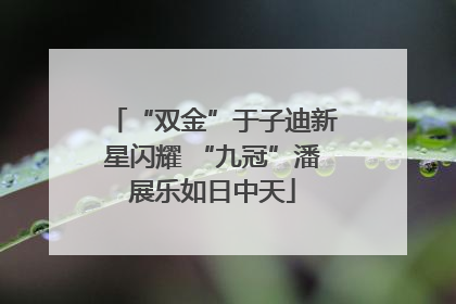 “双金”于子迪新星闪耀 “九冠”潘展乐如日中天