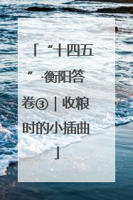 “十四五”·衡阳答卷③｜收粮时的小插曲