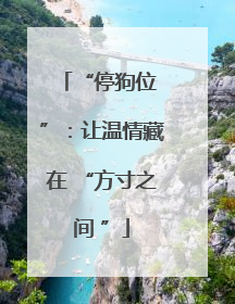“停狗位 ”：让温情藏在 “方寸之间 ”