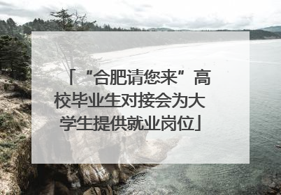 “合肥请您来”高校毕业生对接会为大学生提供就业岗位