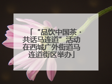 “品饮中国茶・共话马连道”活动在西城广外街道马连道街区举办