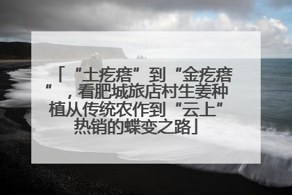 “土疙瘩”到“金疙瘩”，看肥城旅店村生姜种植从传统农作到“云上”热销的蝶变之路