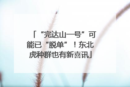 “完达山一号”可能已“脱单”！东北虎种群也有新喜讯