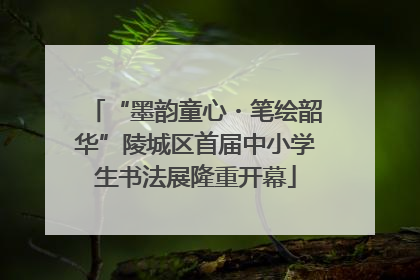 “墨韵童心・笔绘韶华”陵城区首届中小学生书法展隆重开幕