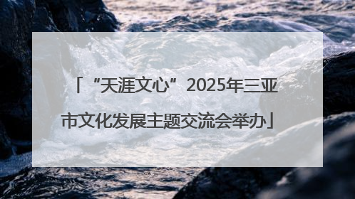 “天涯文心”2025年三亚市文化发展主题交流会举办