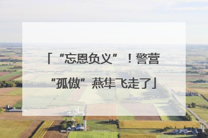 “忘恩负义”！警营“孤傲”燕隼飞走了