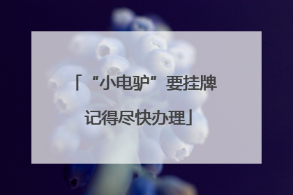 “小电驴”要挂牌 记得尽快办理
