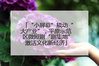 “小屏幕”撬动“大产业”，平原示范区微短剧“剧集地”激活文化新经济