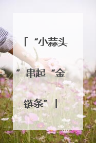 “小蒜头”串起“金链条”