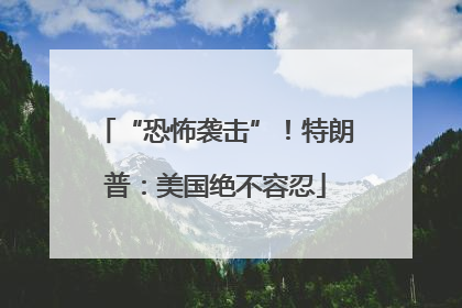 “恐怖袭击”！特朗普：美国绝不容忍