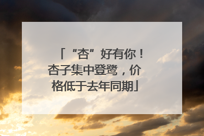 “杏”好有你！杏子集中登鹭，价格低于去年同期