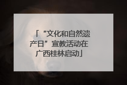 “文化和自然遗产日”宣教活动在广西桂林启动