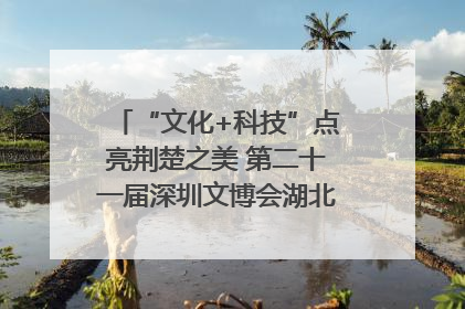 “文化+科技”点亮荆楚之美 第二十一届深圳文博会湖北馆抢“鲜”看