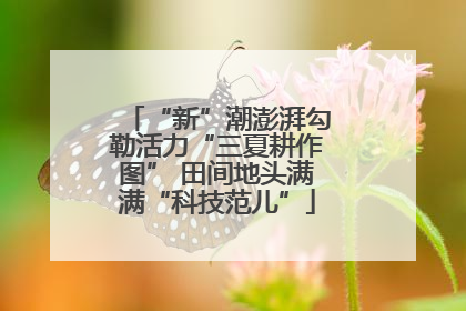 “新”潮澎湃勾勒活力“三夏耕作图” 田间地头满满“科技范儿”