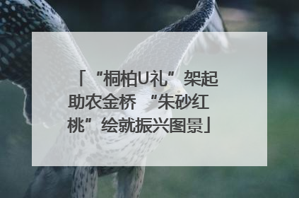 “桐柏U礼”架起助农金桥 “朱砂红桃”绘就振兴图景