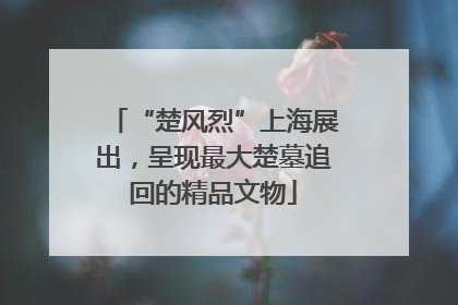 “楚风烈”上海展出，呈现最大楚墓追回的精品文物