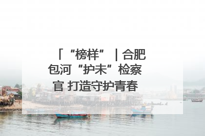 “榜样”｜合肥包河“护未”检察官 打造守护青春成长的永恒灯塔