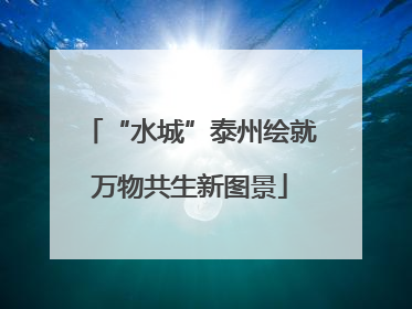 “水城”泰州绘就万物共生新图景