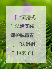 “沉浸式”法治实践课护航青春，“法姐姐”也来了