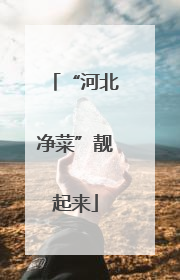 “河北净菜”靓起来