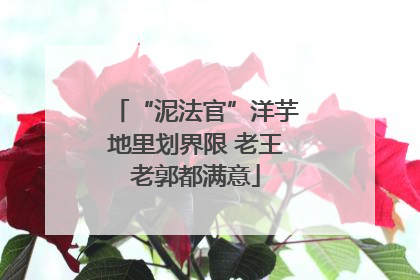 “泥法官”洋芋地里划界限 老王老郭都满意