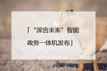 “深言未来”智能政务一体机发布