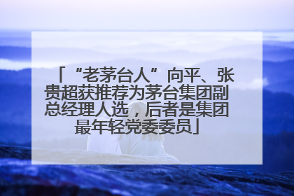 “老茅台人”向平、张贵超获推荐为茅台集团副总经理人选，后者是集团最年轻党委委员
