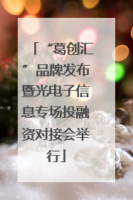 “葛创汇”品牌发布暨光电子信息专场投融资对接会举行