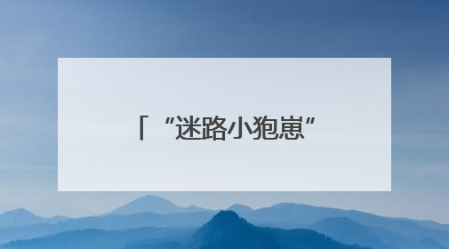 “迷路小狍崽”落单蜷缩草丛中，民警暖心救助