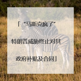 “马斯克疯了” 特朗普威胁终止对其政府补贴及合同